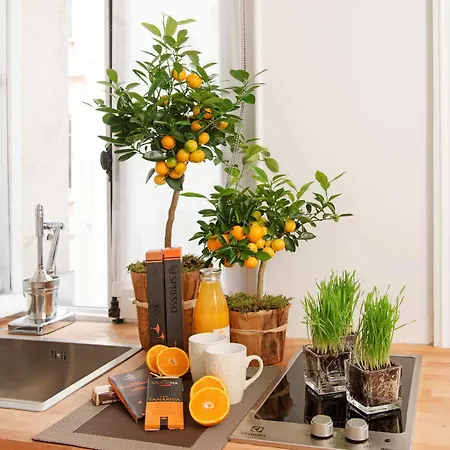 My Nest - Quartier Latin 2* Париж